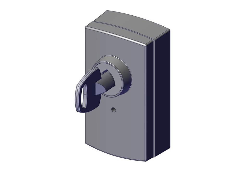 Programma -selector P